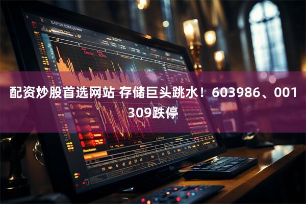配资炒股首选网站 存储巨头跳水！603986、001309跌停